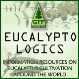 Eucalyptologics / Information resources on Eucalyptus cultivation worldwide / Recursos de informacion sobre cultivo de eucalipto en el mundo / GIT Forestry Consulting, Consultoria y Servicios de Ingenieria Agroforestal, Lugo, Galicia, Espaa, Spain